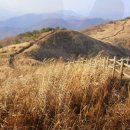 증산-011 이미지