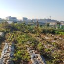 공북2리경로당 이미지