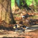 작천초등학교 이미지