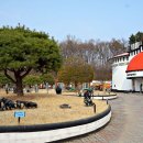 아프리카예술박물관 캠핑장 이미지