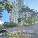 행운동-26 네이버블로그