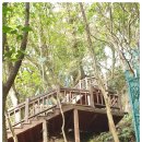 돈내코원앙펜션 이미지