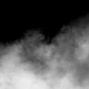 24시 스탠다드 동물의료센터 이미지