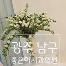 삼봉이치과의원 | 광주 남구 주월동 좋은이치과의원 방문후기 (내돈내방)