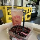 나인파티시에 이미지