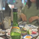 남해물고기 이미지