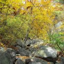 (주)곰바위 이미지