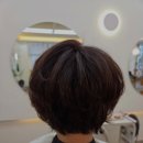 다옴헤어살롱 네이버블로그