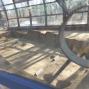 관양동 청동기유적 이미지