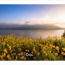 본포생태공원(다목적광장) | 26 창원 북면 '수변생태공원' 걷기