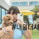 아따멍멍 이미지