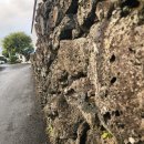 구름산책길 | 제주 종달길 돌담길을 걷다 - 마을 올래길 산책 후기