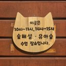 들꽃도서관 | 아이와 진주 가볼만한곳 🌿 월아산 숲속의 진주 숲해설 체험 힐링 후기