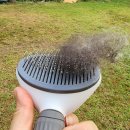 도구로 89-2 이미지