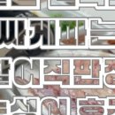 싸게파는집 - 성북구 삼선교로10나길 2 | 싸게파는집