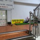 튤립게임랜드 이미지