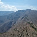 영 농장 이미지