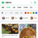 장수골다슬기 이미지