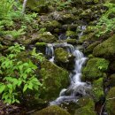 인제05-2 이미지