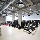 데일리프로젝트 피트니스 이미지