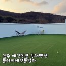 누나펜션 | 경주 애견동반펜션 “플러피애견풀빌라” 수영장 독채펜션 B동 후기