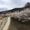 남산강변로 이미지