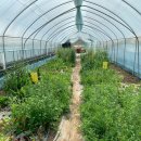 원근농장 이미지