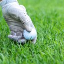 잔디골프아카데미 이미지