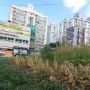 두만농장 이미지