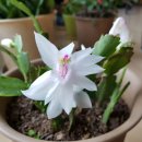 안면도농협 이미지