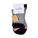 태영스포츠 이미지