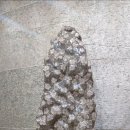 청송수석꽃돌박물관 이미지