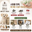 (주)젠틀펫코리아 | 문경 강아지 장례식장 추천 15년 함께한 우리 아이의 마지막 길 젠틀펫 문경점 감동 후기