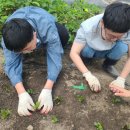 사회적협동조합행복림 이미지