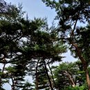 남태령옛길 이미지