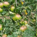 우창농장 이미지