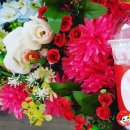 매니아카 이미지