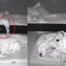 오지랖차수리 이미지