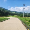 숲속의 예쁜별 이미지