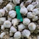 귀동농장 이미지