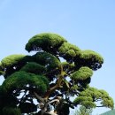 하경농장 | 남이섬과 아침고요수목원 — 자연이 선물한 하루의 여유