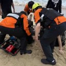 [속보] 고성 화진포콘도 앞 해변서 일가족 구조한 2명 심정지 이미지