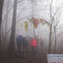 금남가방