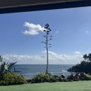 바다위올레하우스 이미지