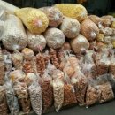 샘고을시장 번영회 이미지