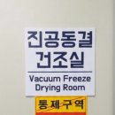 건강한펫 이미지