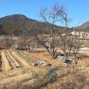 청도비닐 이미지