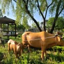 대화농업체험공원 | 고양시 대화농업체험공원 아이들과 농촌체험하며 텃밭 가꾸는 산책공원