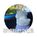 푸른별안과동물병원 이미지