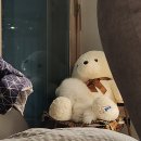 엄마손삼계탕 이미지